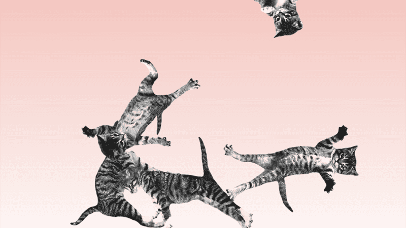 Screenshot of Cat Bounce
