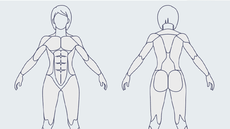 MuscleWiki